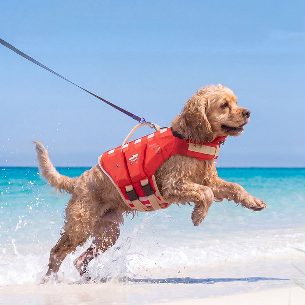 Life Jacket - Chaleco Salvavidas Impermeable para Perros, Transpirable,