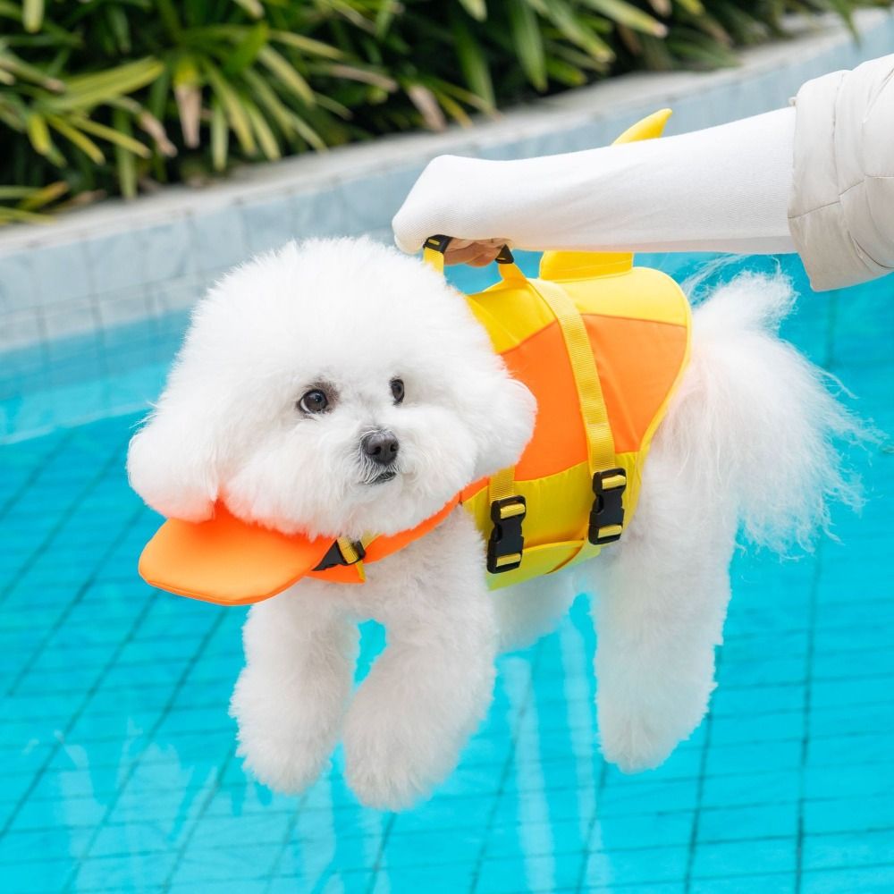 Chaleco Salvavidas para Perros - Life Jacket reseña y precio